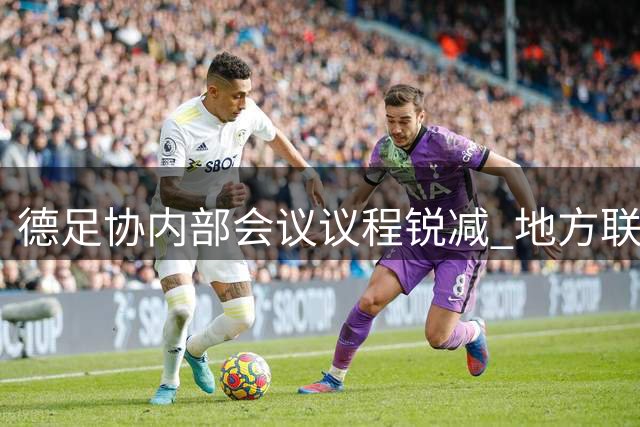 德足协内部会议议程锐减 地方联赛改组方案引争议